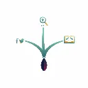 Solo Starter bundle icon.webp